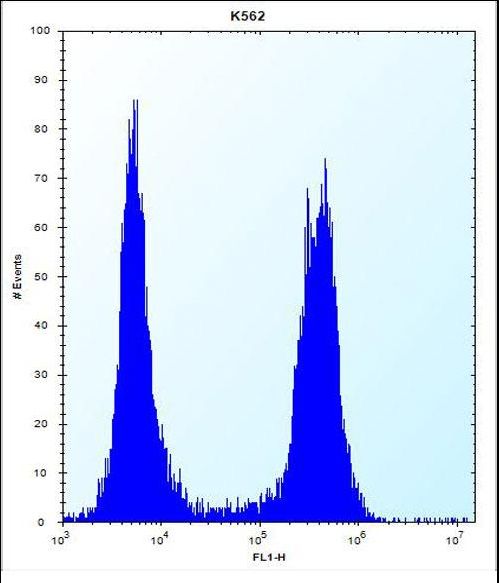 ARSF Antibody flow cytometry of K562 cells (right histogram) compared to a negative control cell (left histogram). FITC-conjugated donkey-anti-rabbit secondary antibodies were used for the analysis.