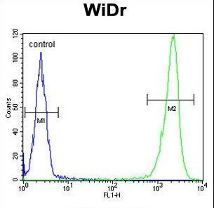 DEK Antibody flow cytometry of WiDr cells (right histogram) compared to a negative control cell (left histogram). FITC-conjugated goat-anti-rabbit secondary antibodies were used for the analysis.