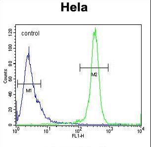 DEN5A Antibody flow cytometry of HeLa cells (right histogram) compared to a negative control cell (left histogram). FITC-conjugated goat-anti-rabbit secondary antibodies were used for the analysis.