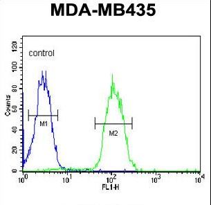 DHRS7 Antibody flow cytometry of MDA-MB435 cells (right histogram) compared to a negative control cell (left histogram). FITC-conjugated goat-anti-rabbit secondary antibodies were used for the analysis.