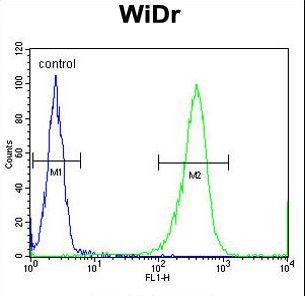 DIRAS3 Antibody flow cytometry of WiDr cells (right histogram) compared to a negative control cell (left histogram). FITC-conjugated goat-anti-rabbit secondary antibodies were used for the analysis.