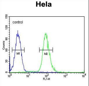CLDN7 Antibody flow cytometry of HeLa cells (right histogram) compared to a negative control cell (left histogram). FITC-conjugated goat-anti-rabbit secondary antibodies were used for the analysis.