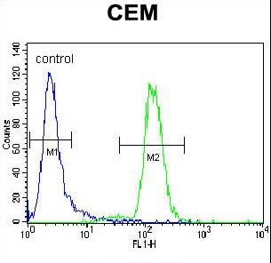 DISC1 Antibody flow cytometry of CEM cells (right histogram) compared to a negative control cell (left histogram). FITC-conjugated goat-anti-rabbit secondary antibodies were used for the analysis.