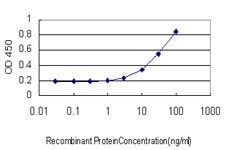 Detection limit for recombinant GST tagged DLD is approximately 1 ng/ml as a capture antibody.