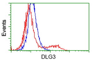 HEK293T cells transfected with either overexpress plasmid (Red) or empty vector control plasmid (Blue) were immunostained by anti-DLG3 antibody, and then analyzed by flow cytometry.