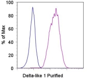 Staining of Delta-like 1-transfected CHO cells with 0.25 ug of Purified Armenian Hamster IgG isotype control (blue histogram) or 0.25 ug of Purified anti-mouse Delta-like 1 (HMD1) (purple histogram). Total viable cells were used for analysis.