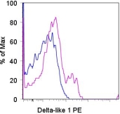 Staining of CD8+CD11c+ C57Bl/6 splenocytes with 0.125 ug of PE Armenian Hamster IgG isotype control (blue histogram) or 0.125 ug of PE anti-mouse Dll1 (delta-like 1) (purple histogram). Total viable cells were used for analysis.