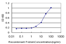 Detection limit for recombinant GST tagged DLX1 is approximately 1 ng/ml as a capture antibody.