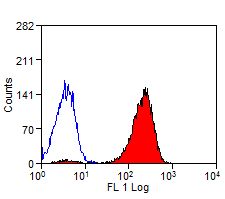 Mouse peripheral blood platelets stained with Rat anti-Mouse CLEC-2:FITC