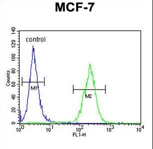 DNAJA1 Antibody flow cytometry of MCF-7 cells (right histogram) compared to a negative control cell (left histogram). FITC-conjugated goat-anti-rabbit secondary antibodies were used for the analysis.