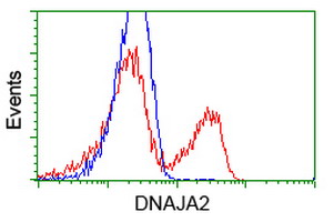HEK293T cells transfected with either overexpress plasmid (Red) or empty vector control plasmid (Blue) were immunostained by anti-DNAJA2 antibody, and then analyzed by flow cytometry.