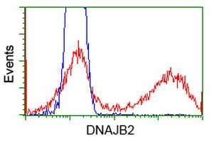 HEK293T cells transfected with either overexpress plasmid (Red) or empty vector control plasmid (Blue) were immunostained by anti-DNAJB2 antibody, and then analyzed by flow cytometry.