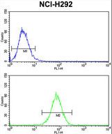 DNM3 Antibody flow cytometry of NCI-H292 cells (bottom histogram) compared to a negative control cell (top histogram). FITC-conjugated goat-anti-rabbit secondary antibodies were used for the analysis.