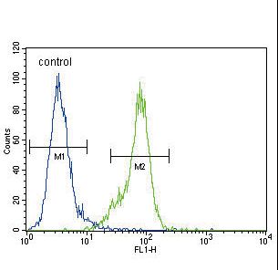 Dnmt1 Antibody (C-term S1602) flow cytometry of MDA-MB435 cells (right histogram) compared to a negative control cell (left histogram). FITC-conjugated goat-anti-rabbit secondary antibodies were used for the analysis.
