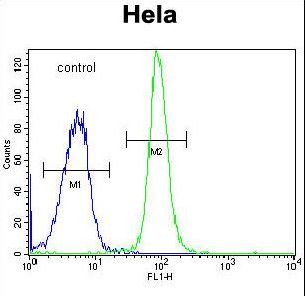 DONSON Antibody flow cytometry of HeLa cells (right histogram) compared to a negative control cell (left histogram). FITC-conjugated goat-anti-rabbit secondary antibodies were used for the analysis.