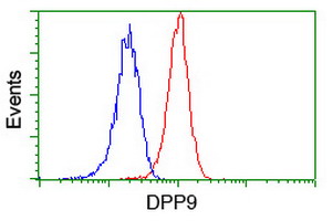 Flow cytometry of Jurkat cells, using anti-DPP9 antibody (Red), compared to a nonspecific negative control antibody (Blue).