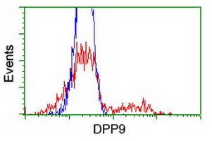 HEK293T cells transfected with either overexpress plasmid (Red) or empty vector control plasmid (Blue) were immunostained by anti-DPP9 antibody, and then analyzed by flow cytometry.