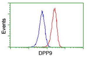 Flow cytometry of Jurkat cells, using anti-DPP9 antibody (Red), compared to a nonspecific negative control antibody (Blue).