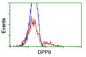 HEK293T cells transfected with either overexpress plasmid (Red) or empty vector control plasmid (Blue) were immunostained by anti-DPP9 antibody, and then analyzed by flow cytometry.