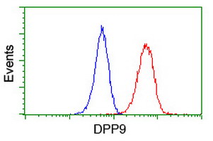 Flow cytometry of Jurkat cells, using anti-DPP9 antibody (Red), compared to a nonspecific negative control antibody (Blue).