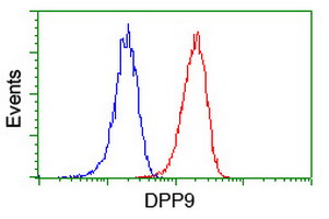 Flow cytometry of Jurkat cells, using anti-DPP9 antibody (Red), compared to a nonspecific negative control antibody (Blue).