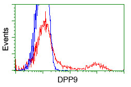 HEK293T cells transfected with either overexpress plasmid (Red) or empty vector control plasmid (Blue) were immunostained by anti-DPP9 antibody, and then analyzed by flow cytometry.