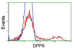 HEK293T cells transfected with either overexpress plasmid (Red) or empty vector control plasmid (Blue) were immunostained by anti-DPP9 antibody, and then analyzed by flow cytometry.
