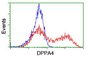 HEK293T cells transfected with either overexpress plasmid (Red) or empty vector control plasmid (Blue) were immunostained by anti-DPPA4 antibody, and then analyzed by flow cytometry.