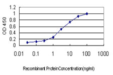 Detection limit for recombinant GST tagged DPYS is approximately 0.1 ng/ml as a capture antibody.