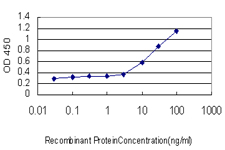 Detection limit for recombinant GST tagged CLIC3 is approximately 0.1 ng/ml as a capture antibody.