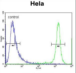 DRG1 Antibody flow cytometry of HeLa cells (right histogram) compared to a negative control cell (left histogram). FITC-conjugated goat-anti-rabbit secondary antibodies were used for the analysis.