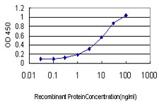 Detection limit for recombinant GST tagged ATN1 is approximately 0.3 ng/ml as a capture antibody.