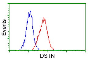 Flow cytometry of Jurkat cells, using anti-DSTN antibody (Red), compared to a nonspecific negative control antibody (Blue).