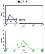 DSTN Antibody flow cytometry of MCF-7 cells (bottom histogram) compared to a negative control cell (top histogram). FITC-conjugated goat-anti-rabbit secondary antibodies were used for the analysis.