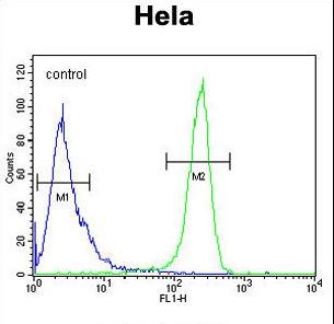 DTL Antibody flow cytometry of HeLa cells (right histogram) compared to a negative control cell (left histogram). FITC-conjugated goat-anti-rabbit secondary antibodies were used for the analysis.
