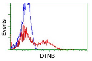 HEK293T cells transfected with either overexpress plasmid (Red) or empty vector control plasmid (Blue) were immunostained by anti-DTNB antibody, and then analyzed by flow cytometry.