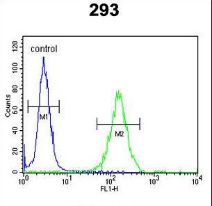DZIP1 Antibody flow cytometry of 293 cells (right histogram) compared to a negative control cell (left histogram). FITC-conjugated goat-anti-rabbit secondary antibodies were used for the analysis.