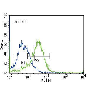 FADS2 Antibody flow cytometry of K562 cells (right histogram) compared to a negative control cell (left histogram). FITC-conjugated donkey-anti-rabbit secondary antibodies were used for the analysis.