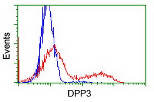 HEK293T cells transfected with either overexpress plasmid (Red) or empty vector control plasmid (Blue) were immunostained by anti-DPP3 antibody, and then analyzed by flow cytometry.