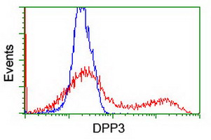 HEK293T cells transfected with either overexpress plasmid (Red) or empty vector control plasmid (Blue) were immunostained by anti-DPP3 antibody, and then analyzed by flow cytometry.