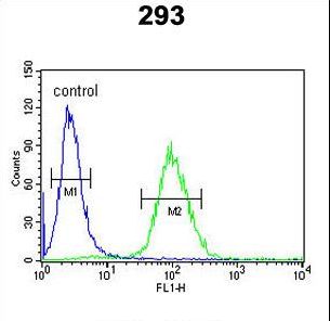 DPP8 Antibody flow cytometry of 293 cells (right histogram) compared to a negative control cell (left histogram). FITC-conjugated goat-anti-rabbit secondary antibodies were used for the analysis.