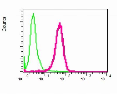 Flow cytometry of permeabilized Saos-2 cells using anti-DCTN2 antibody (red)or a rabbit IgG (negative) (green).