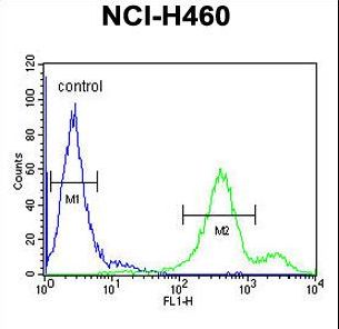 EBPL Antibody flow cytometry of NCI-H460 cells (right histogram) compared to a negative control cell (left histogram). FITC-conjugated goat-anti-rabbit secondary antibodies were used for the analysis.