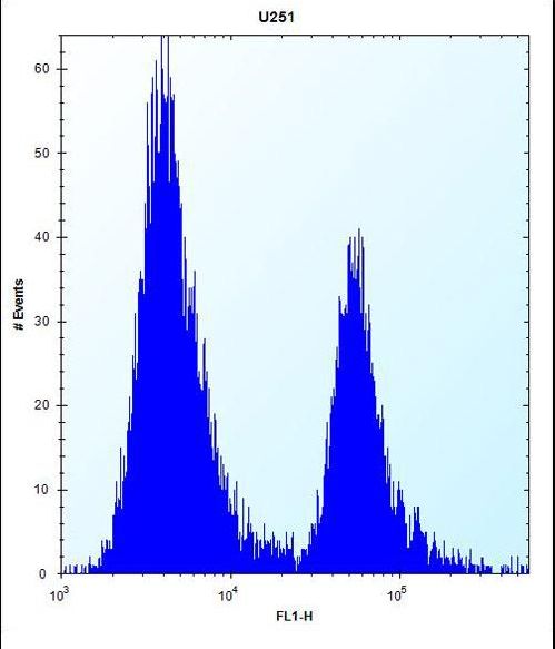 PEG10 Antibody flow cytometry of U251 cells (right histogram) compared to a negative control cell (left histogram). FITC-conjugated goat-anti-rabbit secondary antibodies were used for the analysis.