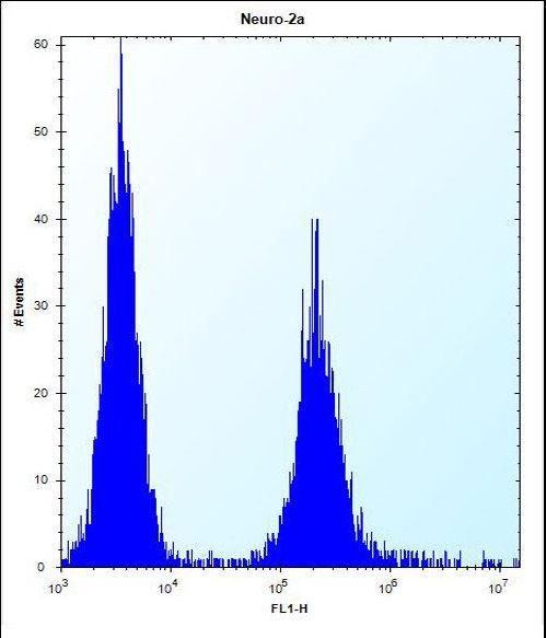 EFCB7 Antibody flow cytometry of Neuro-2a cells (right histogram) compared to a negative control cell (left histogram). FITC-conjugated donkey-anti-rabbit secondary antibodies were used for the analysis.