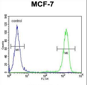 EFHB Antibody flow cytometry of MCF-7 cells (right histogram) compared to a negative control cell (left histogram). FITC-conjugated goat-anti-rabbit secondary antibodies were used for the analysis.