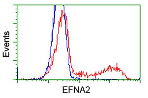 HEK293T cells transfected with either overexpress plasmid (Red) or empty vector control plasmid (Blue) were immunostained by anti-EFNA2 antibody, and then analyzed by flow cytometry.