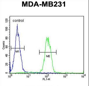 EGLN2 Antibody flow cytometry of MDA-MB231 cells (right histogram) compared to a negative control cell (left histogram). FITC-conjugated goat-anti-rabbit secondary antibodies were used for the analysis.
