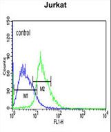EHMT2 Antibody flow cytometry of Jurkat cells (right histogram) compared to a negative control cell (left histogram). FITC-conjugated goat-anti-rabbit secondary antibodies were used for the analysis.