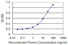 Detection limit for recombinant GST tagged EIF2S3 is 0.3 ng/ml as a capture antibody.